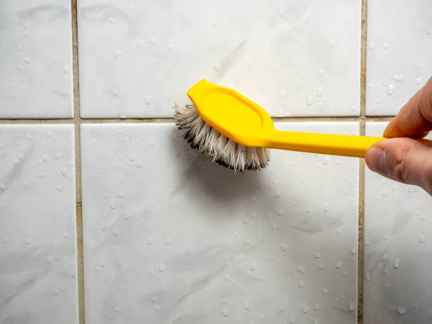 Terrell Hills, TX Mold Removal Company