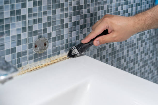 Best Mold Testing and Removal  in Terrell Hills, TX